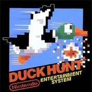Duck Hunt