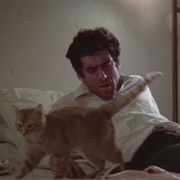 Marlowe's Cat (The Long Goodbye, 1973)
