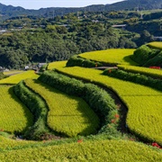 Higashi-Sonogi, Nagasaki