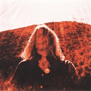 Manipulator (Ty Segall, 2014)