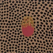 Deliquescence - Swans