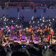 Go to a Mariachi Competition