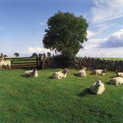 The KLF - Chill Out