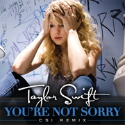You're Not Sorry (C.S.I. Remix) - Taylor Swift