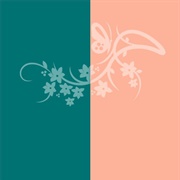 Teal / Peach