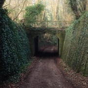 Devil's Bridge on Spooky Lane
