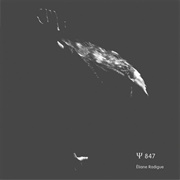 Eliane Radigue - Ψ 847