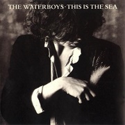 The Waterboys – the Whole of the Moon