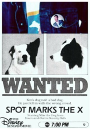 Spot Marks the X (1986)