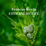 Noxious