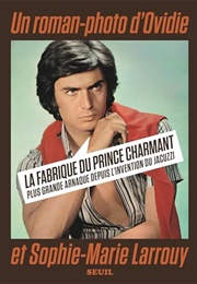 La Fabrique Du Prince Charmant (Ovidie)