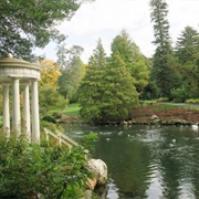 Morris Arboretum