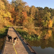 Tombigbee National Forest, Mississippi