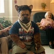 S5.E7: Hybrid Creatures