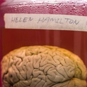 Wilder Brain Collection