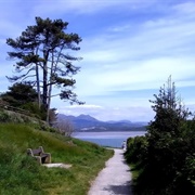 Xploring Borth Y Gest