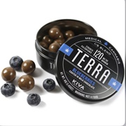 Terra Cannabis Infused Blueberry Bites
