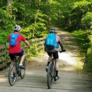 Go for a Bike Ride Through the Forest
