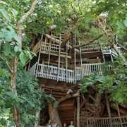 Minister&#39;s Treehouse (Permanently Closed)