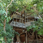 Minister's Treehouse (Permanently Closed)
