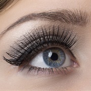 Eyelash