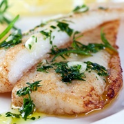 White Grunt (Haemulon Plumierii)