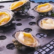 Ribbed Turban (Turbo Intercostalis)