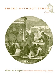 Bricks Without Straw (Albion Tourgée)