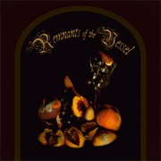 Remnants of the Vessel - Faetooth