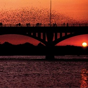 Watch the Austin Bats