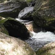 Daintree National Park