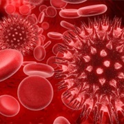 Sentient Micro-Organism