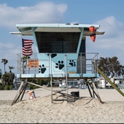 Rosie's Dog Beach, Long Beach