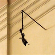 The Thief's Arm at Kostel Sv. Jakuba Vetsiho