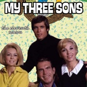 My Three Sons Season 11