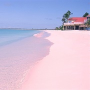 Pink Sands Beach, Bahamas