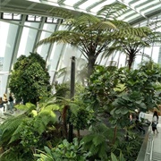 High Up in the Sky Garden