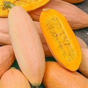 Banana Squash
