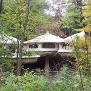 Mushroom House of Rochester