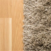 Avoid Carpets (Go for Hardwood Floors)