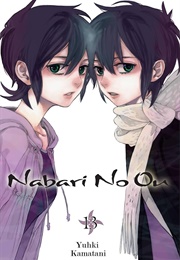 The Ruler of Nabari Vol. 13 (Yuhki Kamatani)