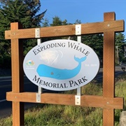 Exploding Whale Memorial Park