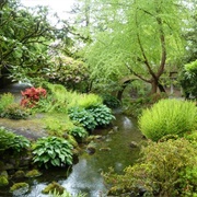 Crystal Springs Rhododendron Garden