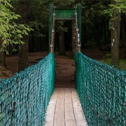 Clarendon Gorge Bridge