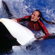 Dawn Brancheau's Death (Seaworld)