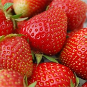 Wexford Strawberries