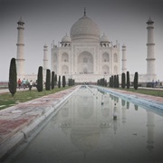 India (Medical Safety)