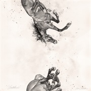 Kick in the Teeth by Hippo Campus