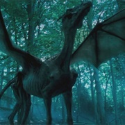 Ride a Thestral