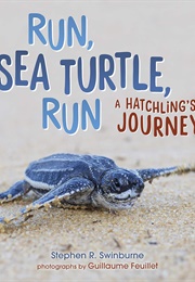 Run, Sea Turtle, Run: A Hatchling's Journey (Stephen R. Swinburne)